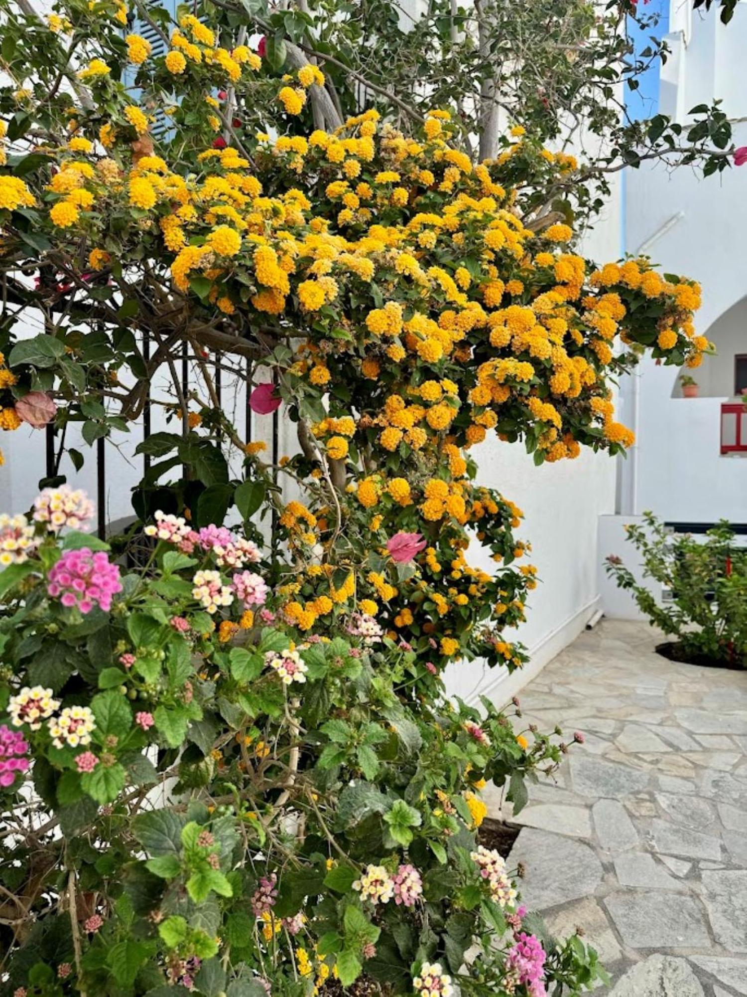 Elisso'S Philoxenia Aparthotel Agios Prokopios  Bagian luar foto