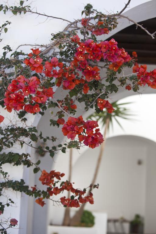 Elisso'S Philoxenia Aparthotel Agios Prokopios  Bagian luar foto